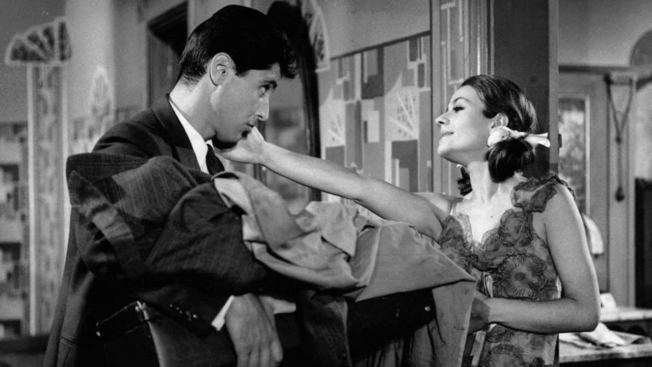 How to Make a French Dish backdrop