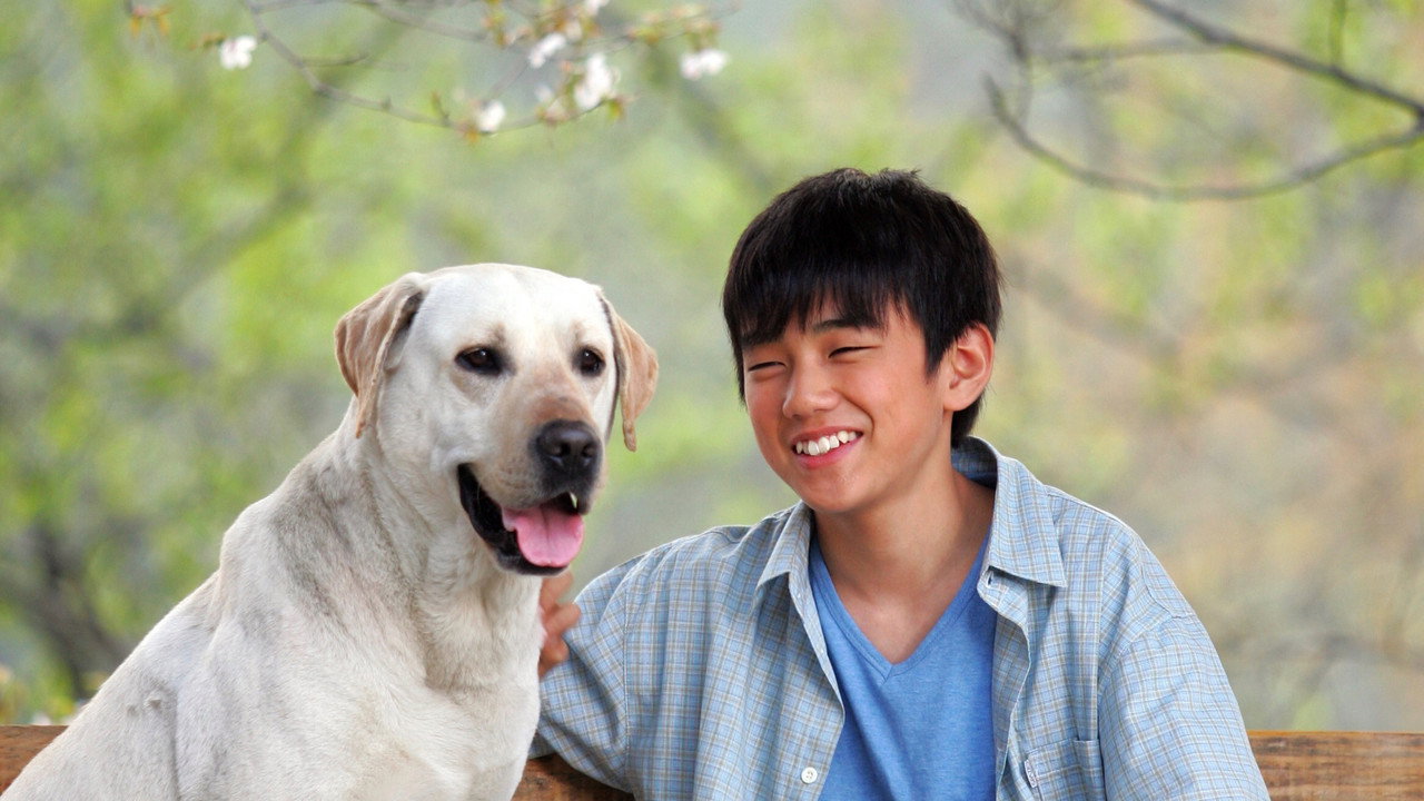 Hearty Paws backdrop