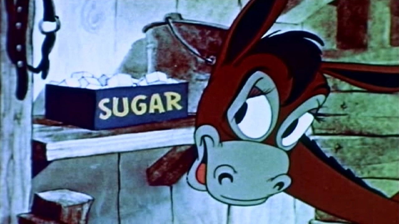 Vitamin Hay backdrop