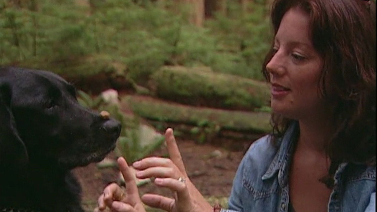 Sarah McLachlan: A Life of Music backdrop