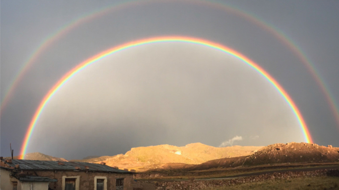 Amaru's Tongue: Daughter backdrop