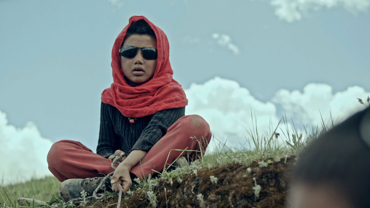 The Boys and the Donkey backdrop