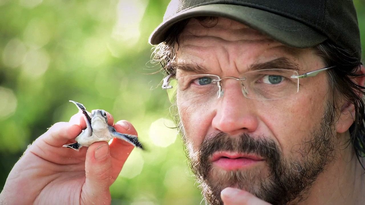 Češi zachraňují backdrop