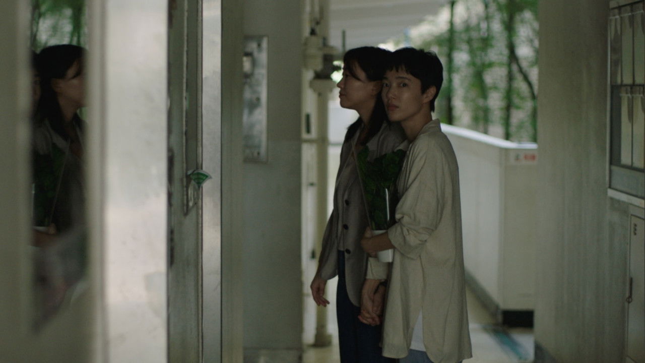 Lucky, Apartment backdrop