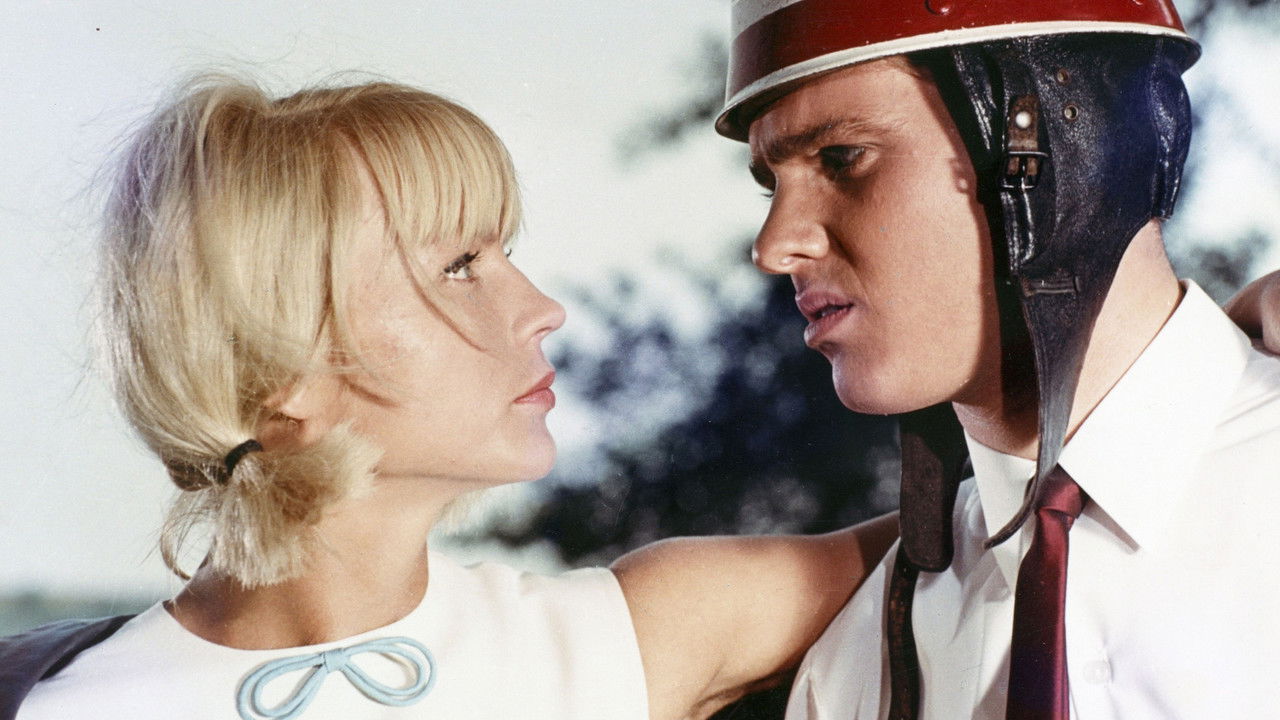 Wedding Night In The Drizzle backdrop