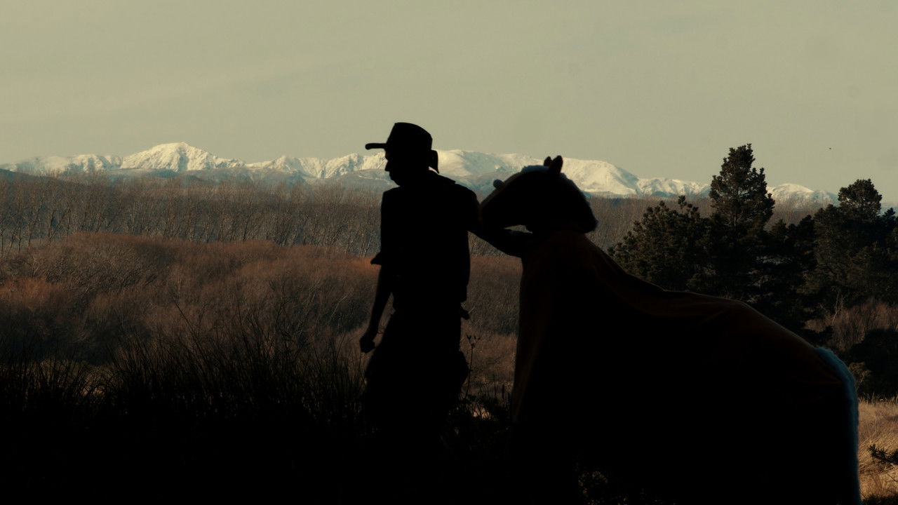 The True Story of Billy the Horse backdrop