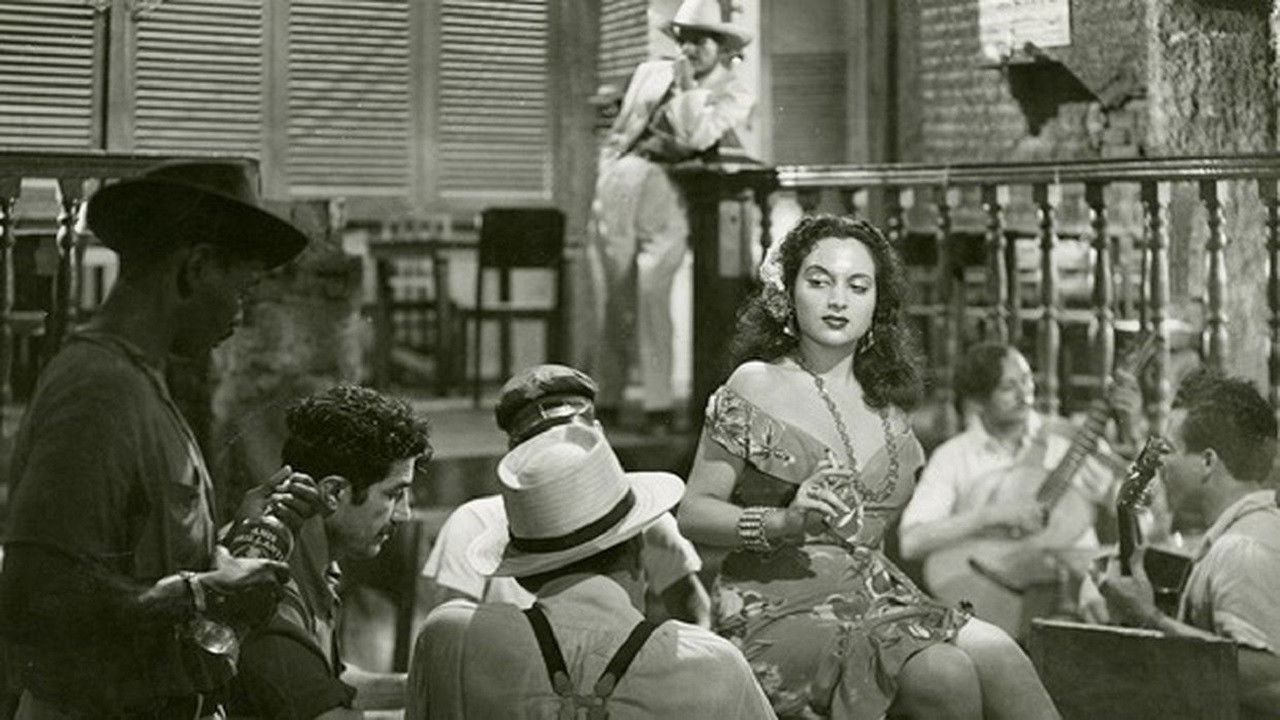 The Yacht Isabel Arrived This Afternoon backdrop