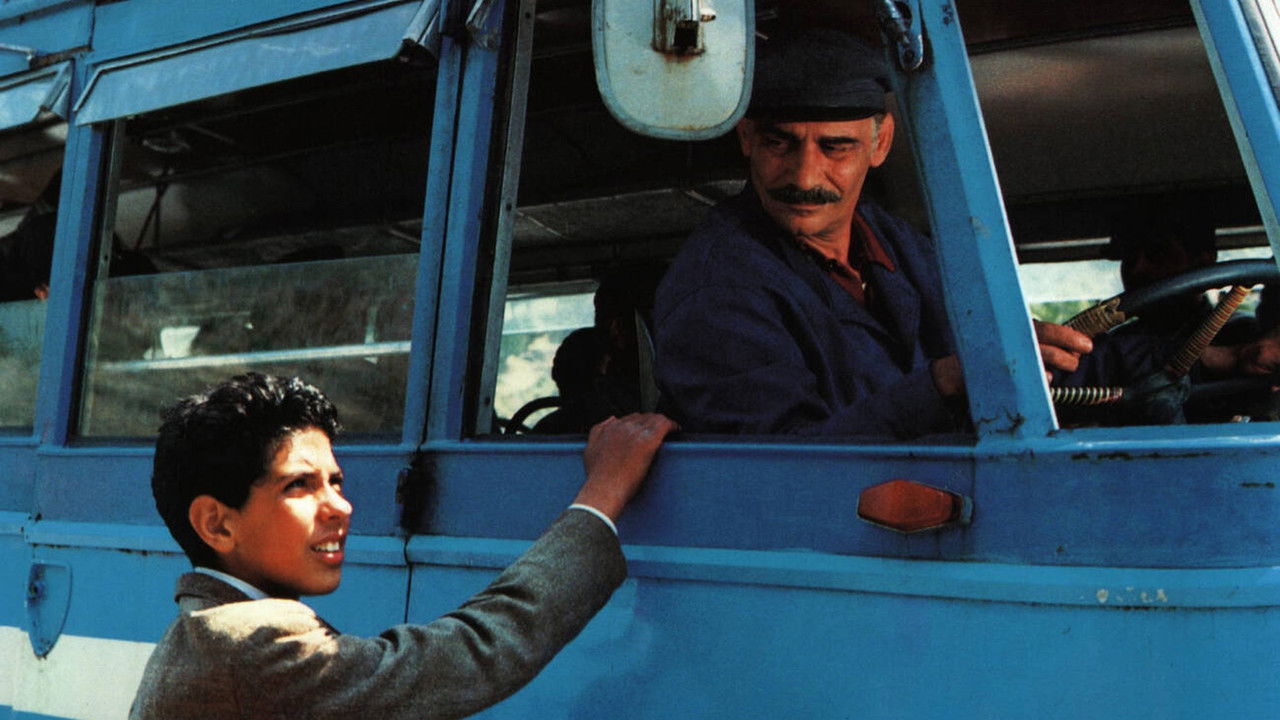 A Boy from Calabria backdrop