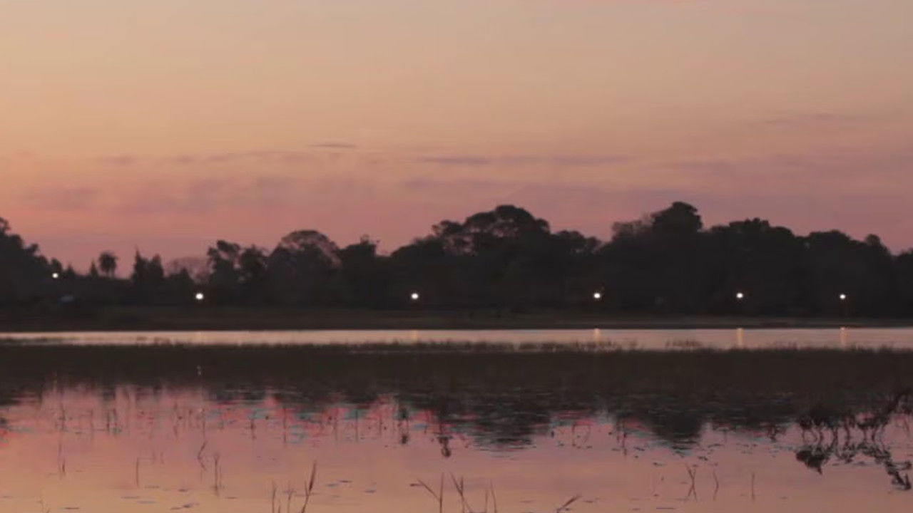 La patria de todos los tarros de colores backdrop