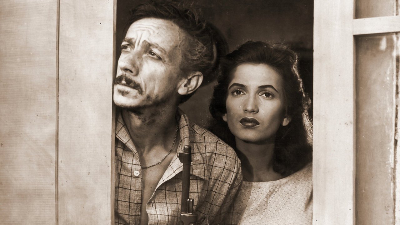 A Carrocinha backdrop