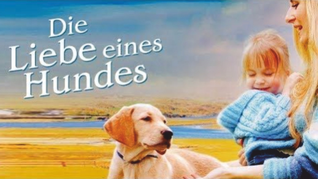 More Than Puppy Love backdrop