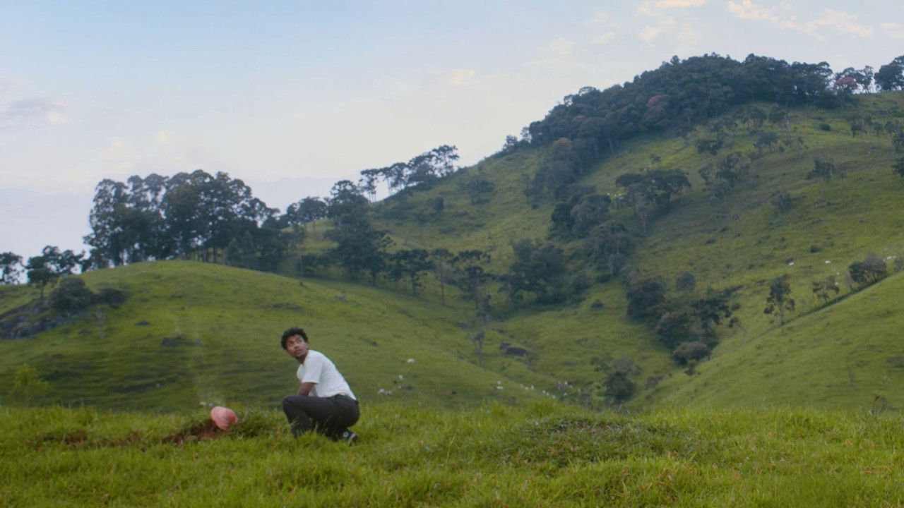 O Disco das Histórias backdrop