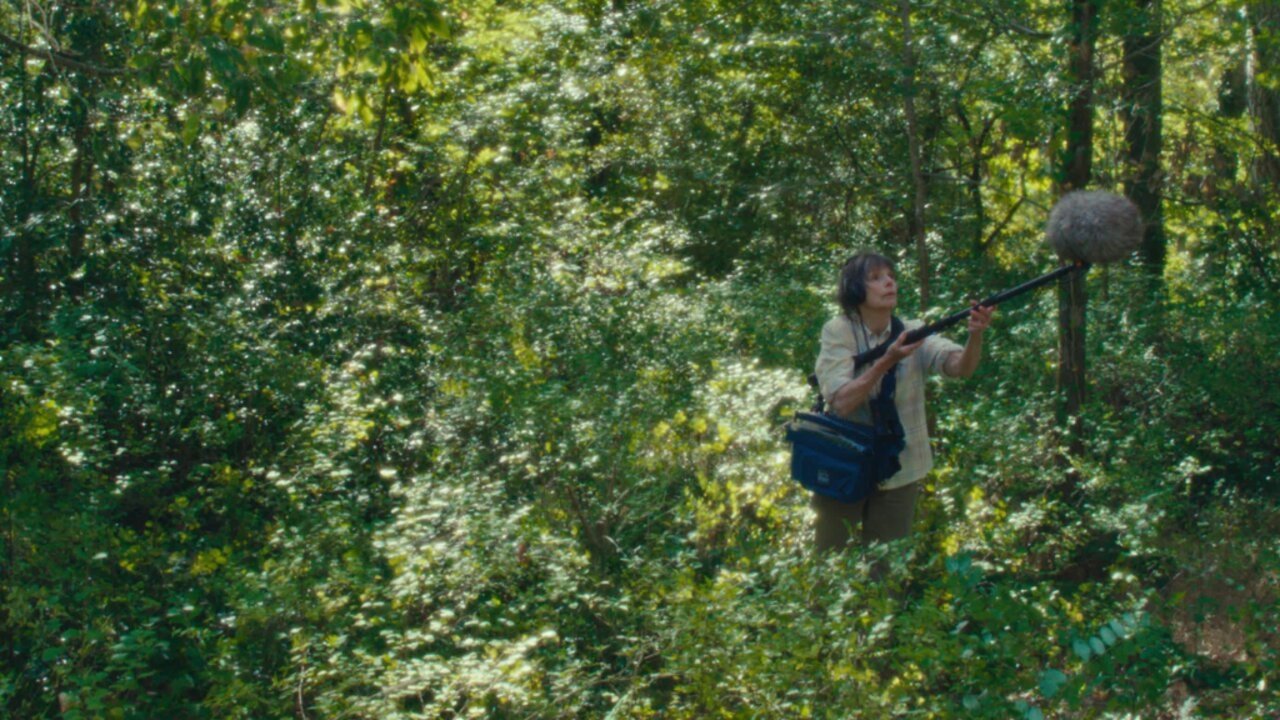 The Mysterious Adventures of Claude Conseil backdrop