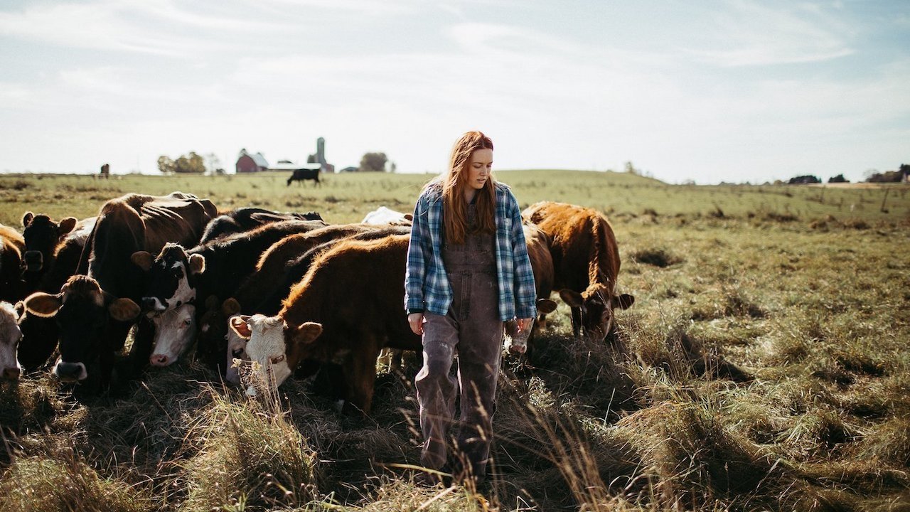Green and Gold backdrop