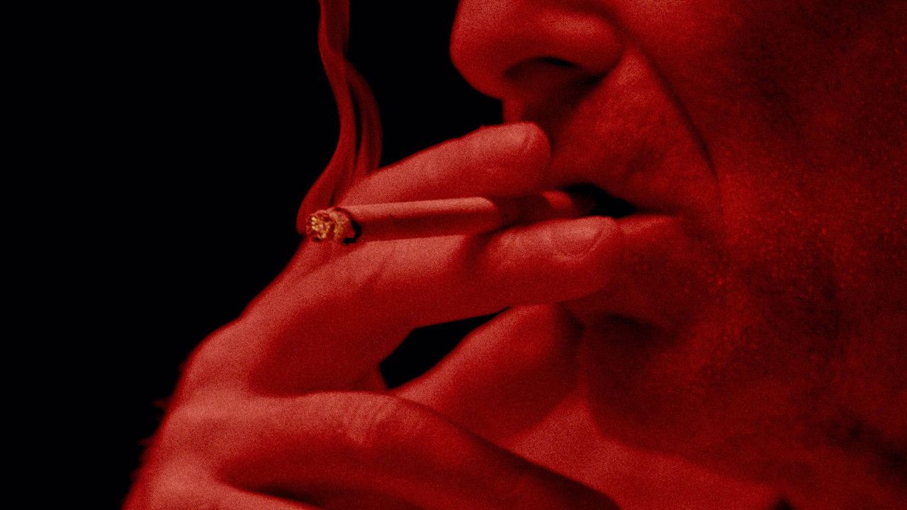 Midnight Jazz backdrop