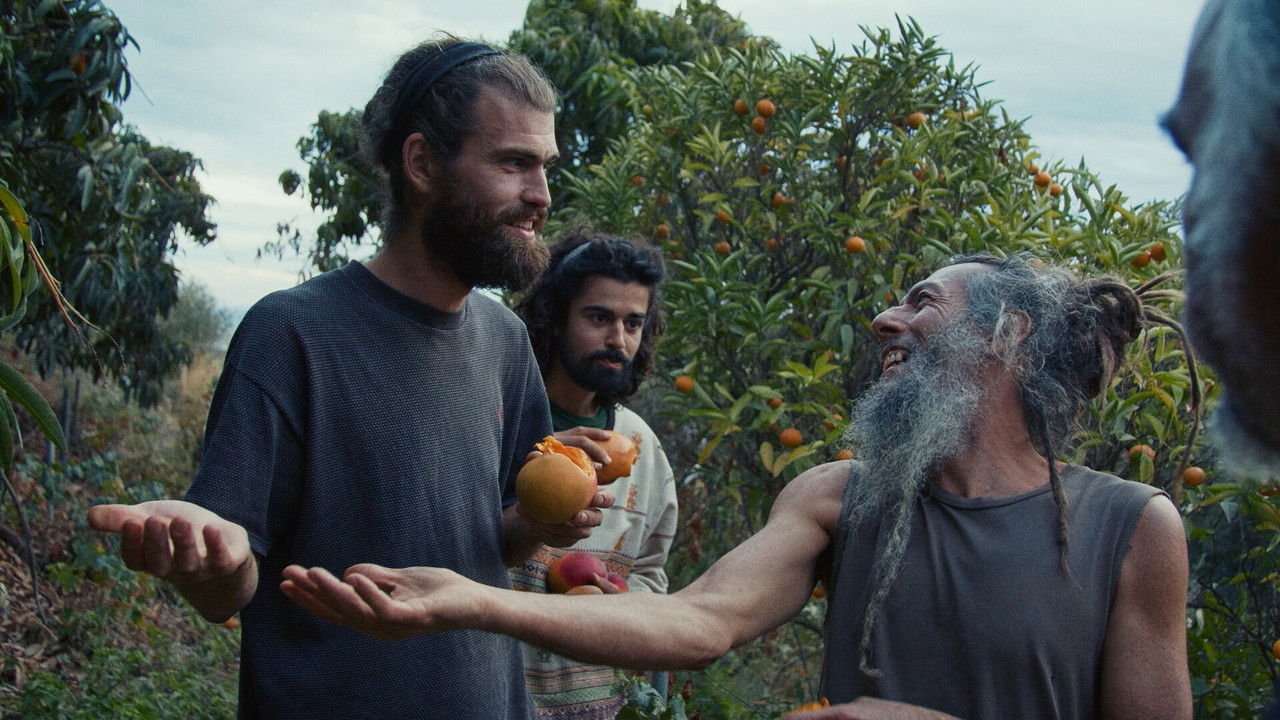 Sintrópica- Semillas de cambio backdrop