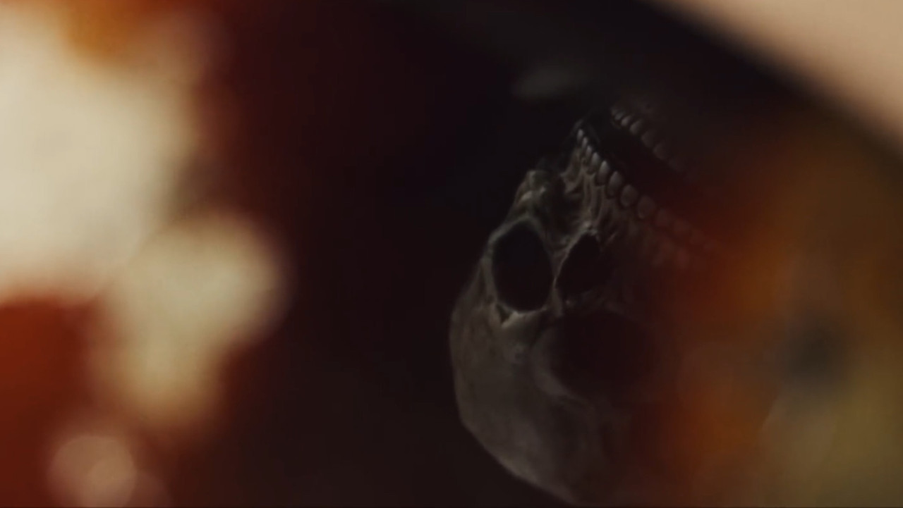 Trick or Treat 2! backdrop