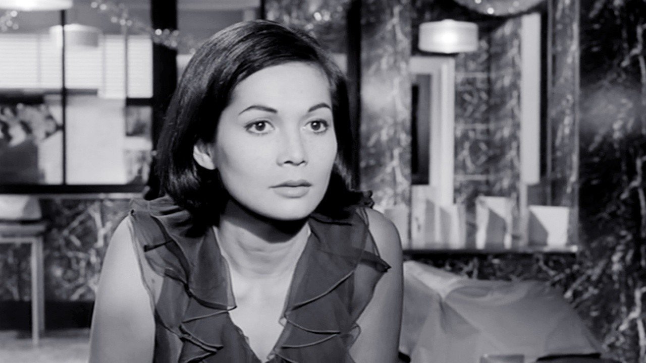 The Wild Affair backdrop