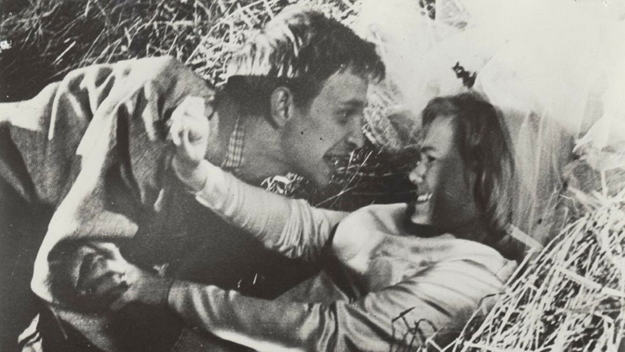 Swedish Wedding Night backdrop