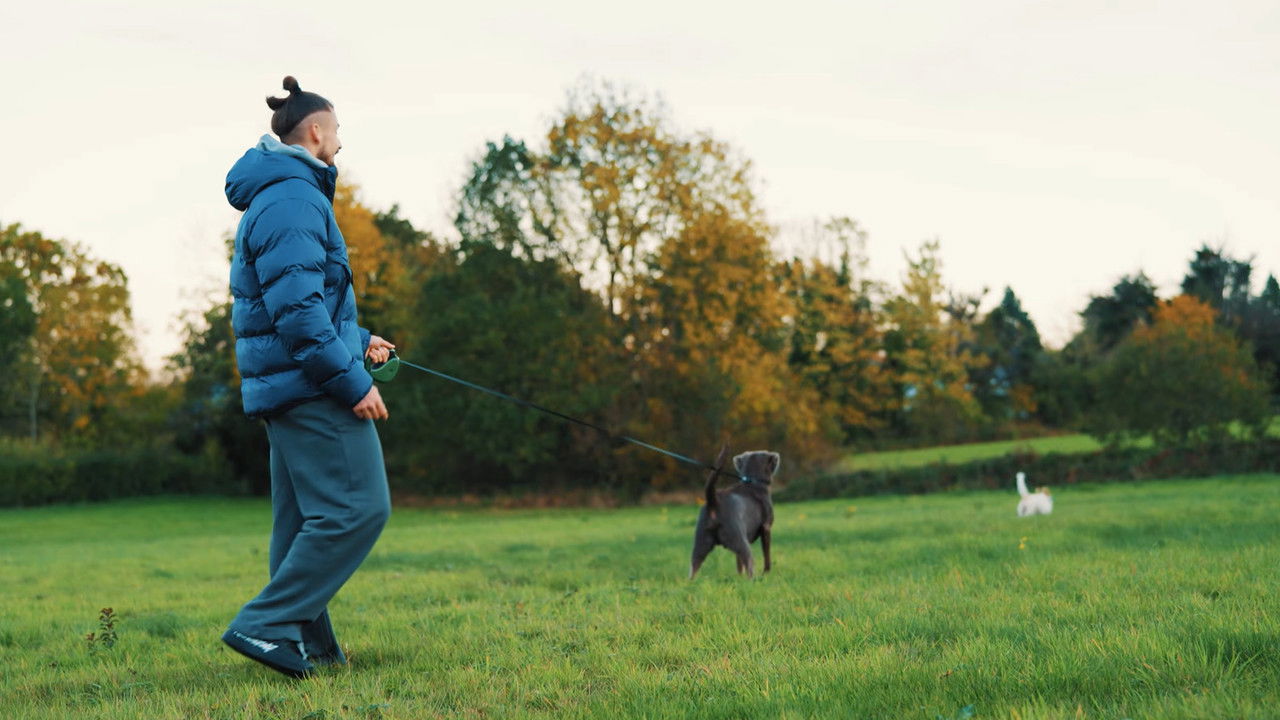Radu Drăgușin: Life & Recovery backdrop