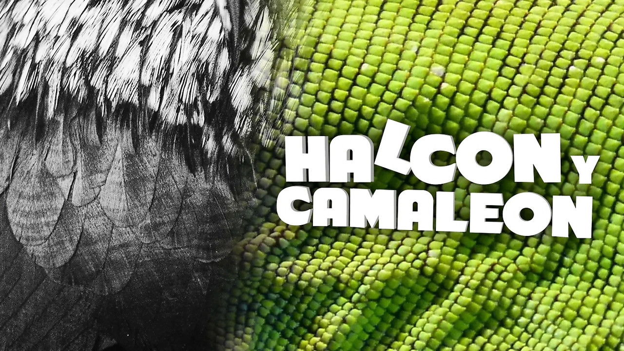 Halcón y camaleón backdrop