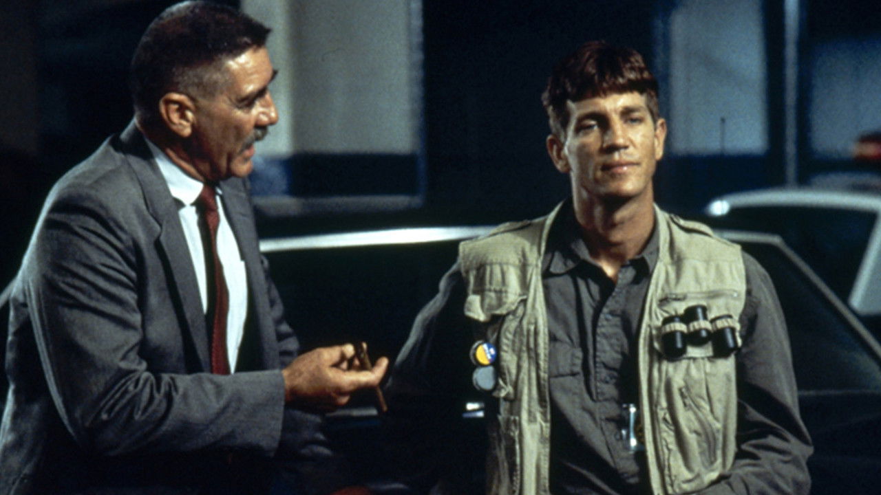 Love Is a Gun backdrop