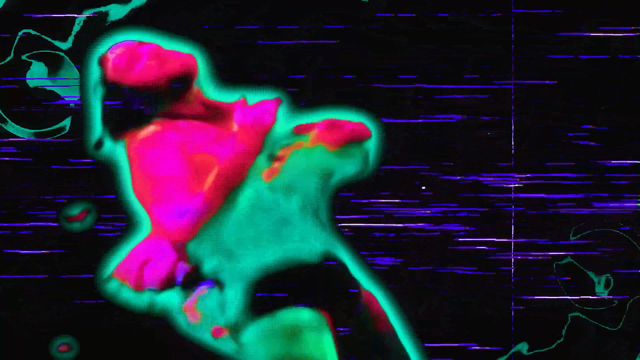 Desinteligência Natural backdrop