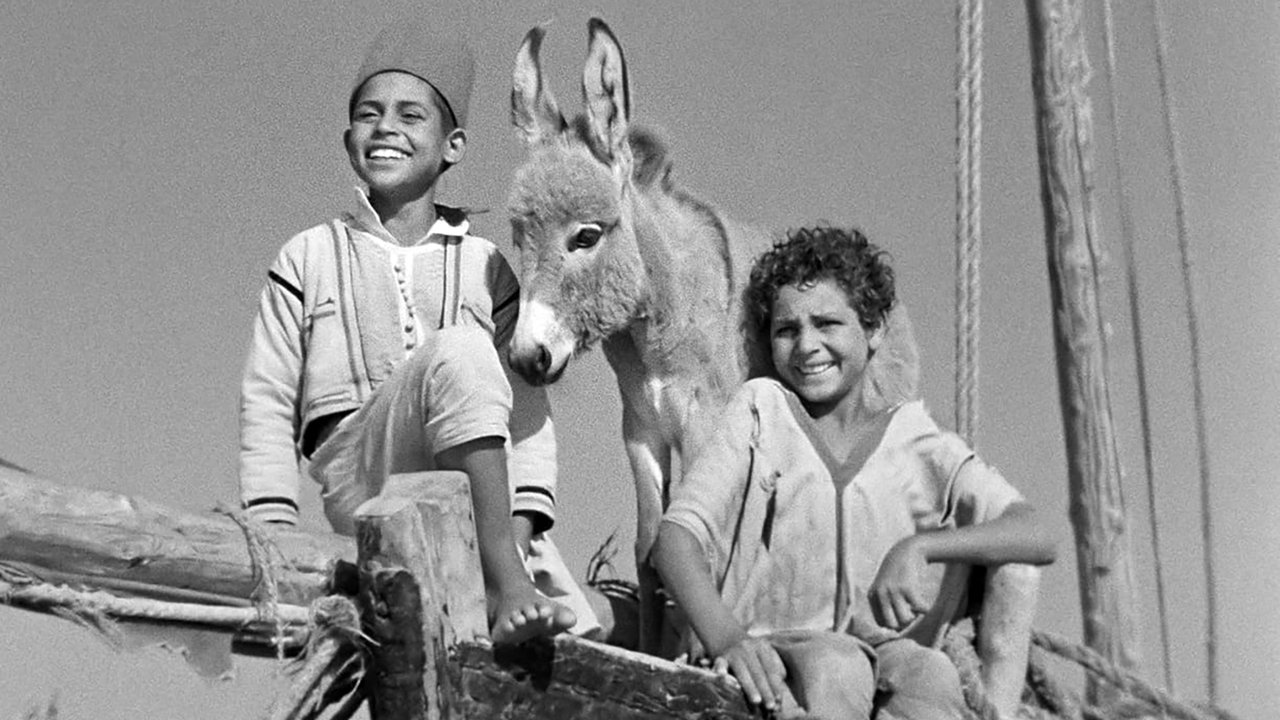 Bim, the Little Donkey backdrop