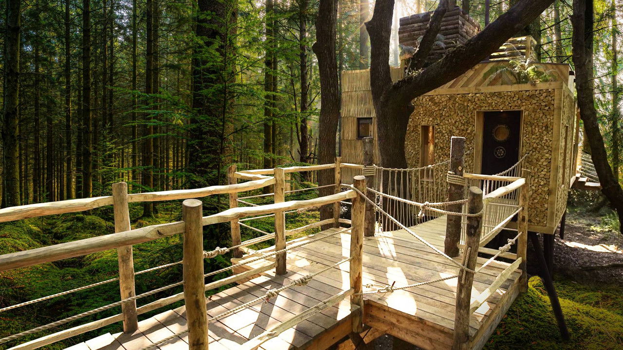 You Live in What? International backdrop