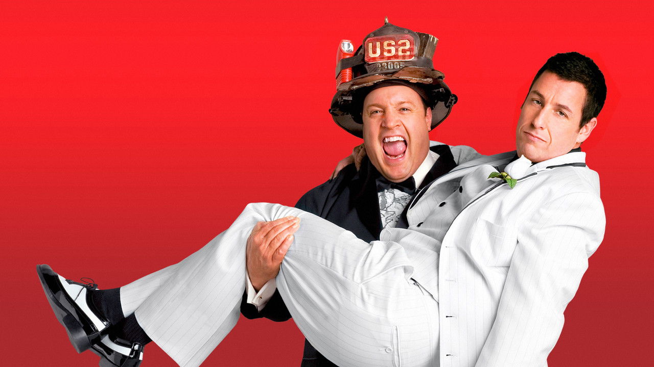 I Now Pronounce You Chuck & Larry backdrop