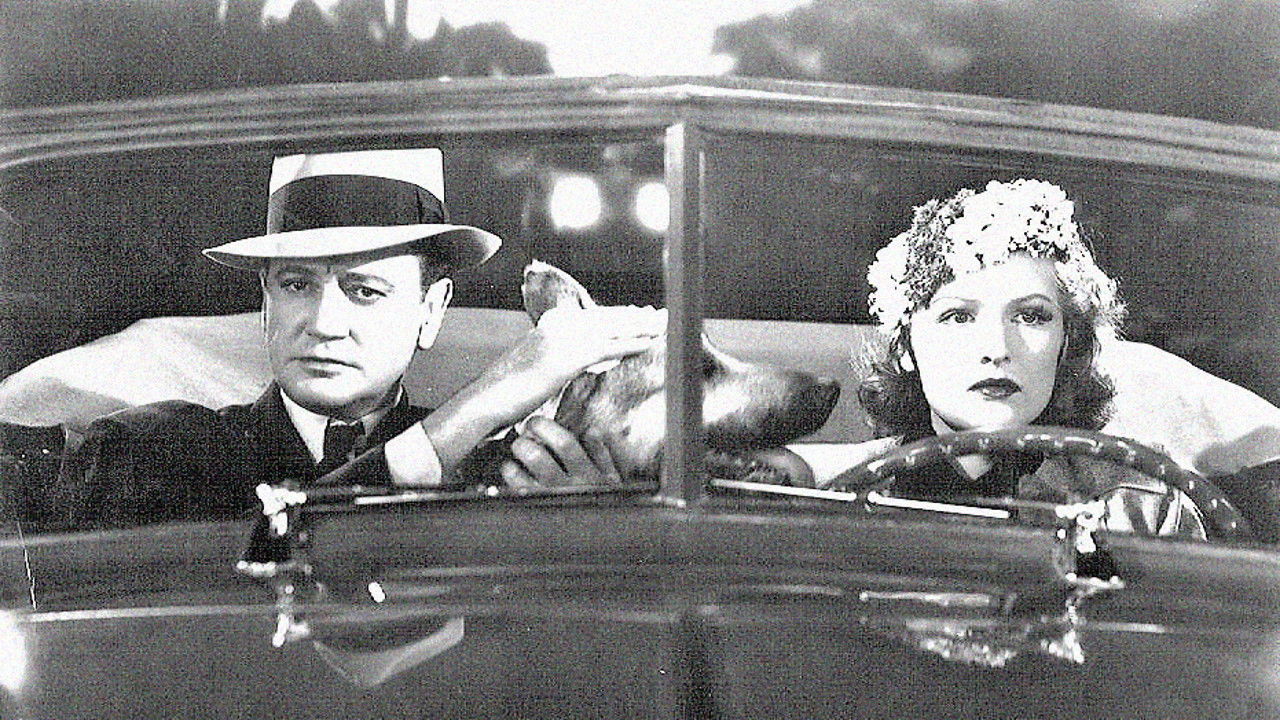 Blind Alibi backdrop