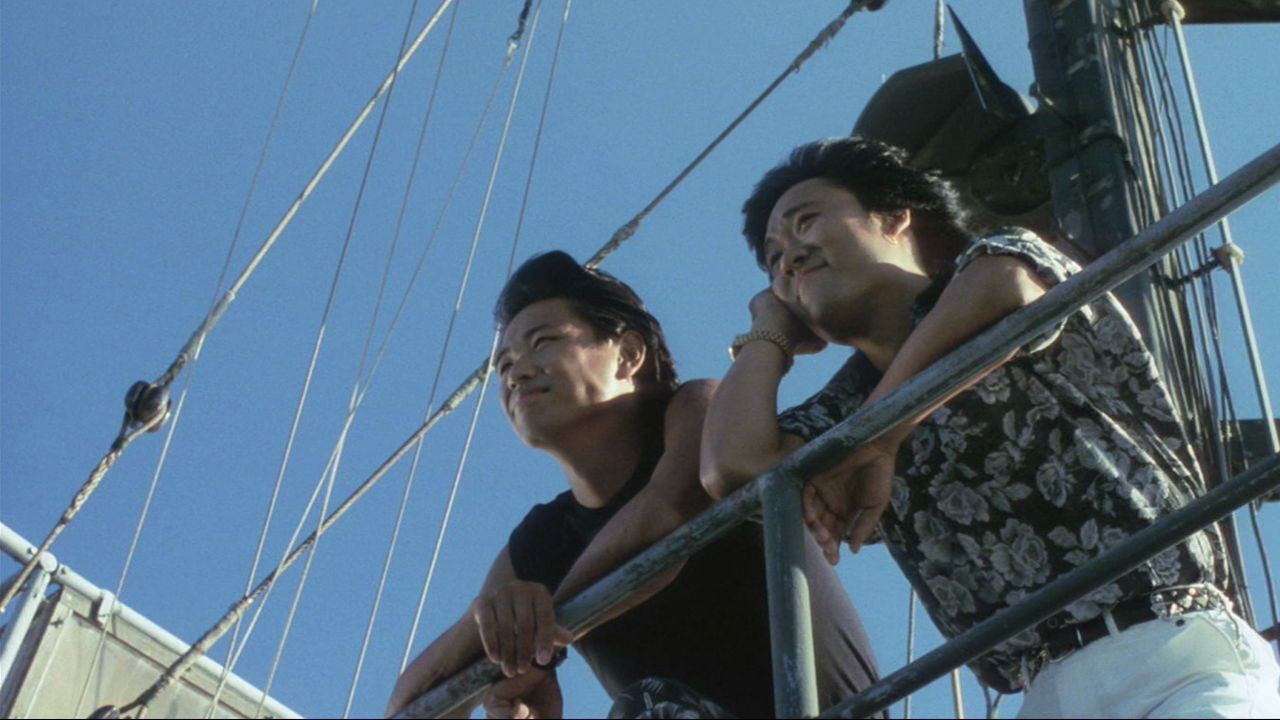 Hawaiian Dream backdrop