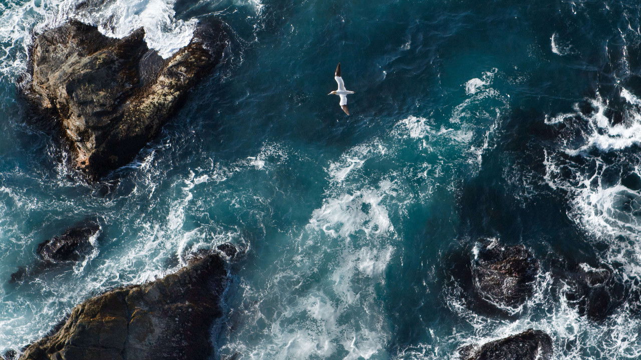 Unsere Meere: Die Nordsee. Die Ostsee backdrop