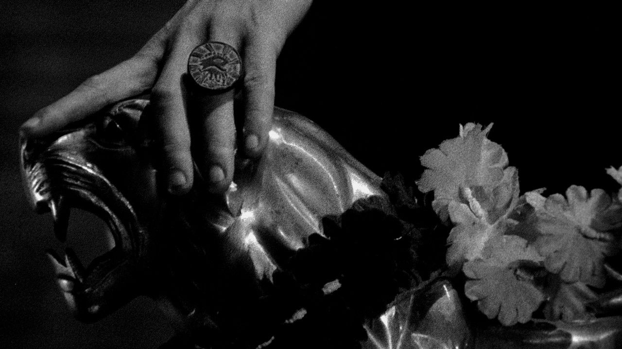 Our Friend the Moon backdrop