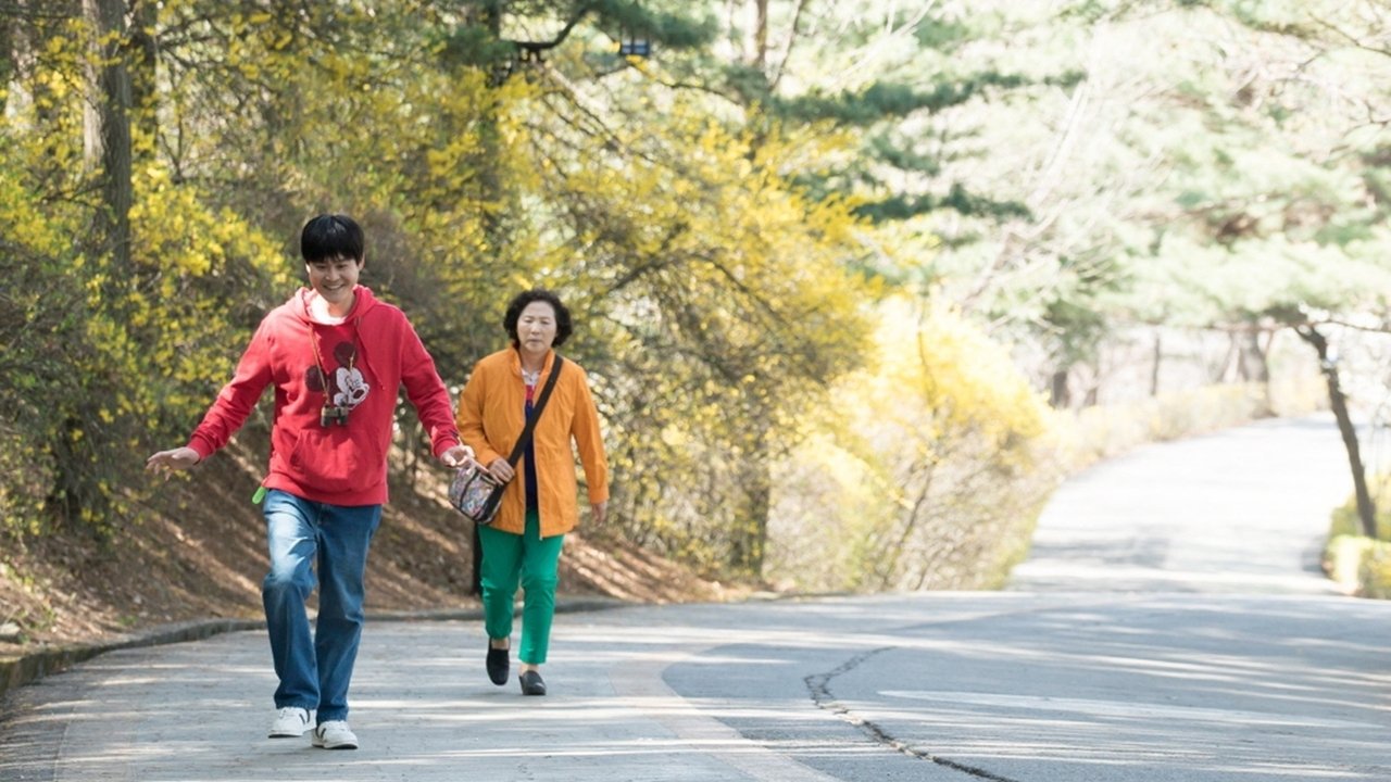 The Preparation backdrop