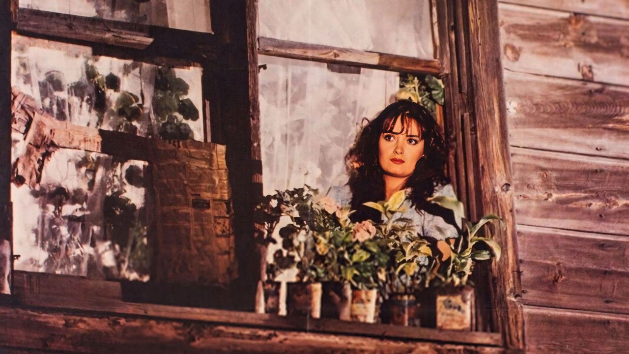 Sister Fahriye backdrop