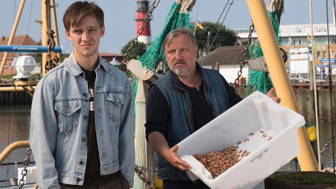 Regrettably Kin backdrop