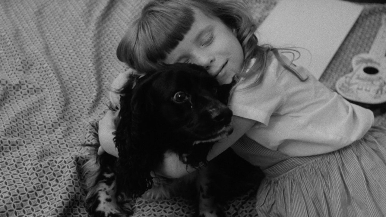 The Dog Lover backdrop