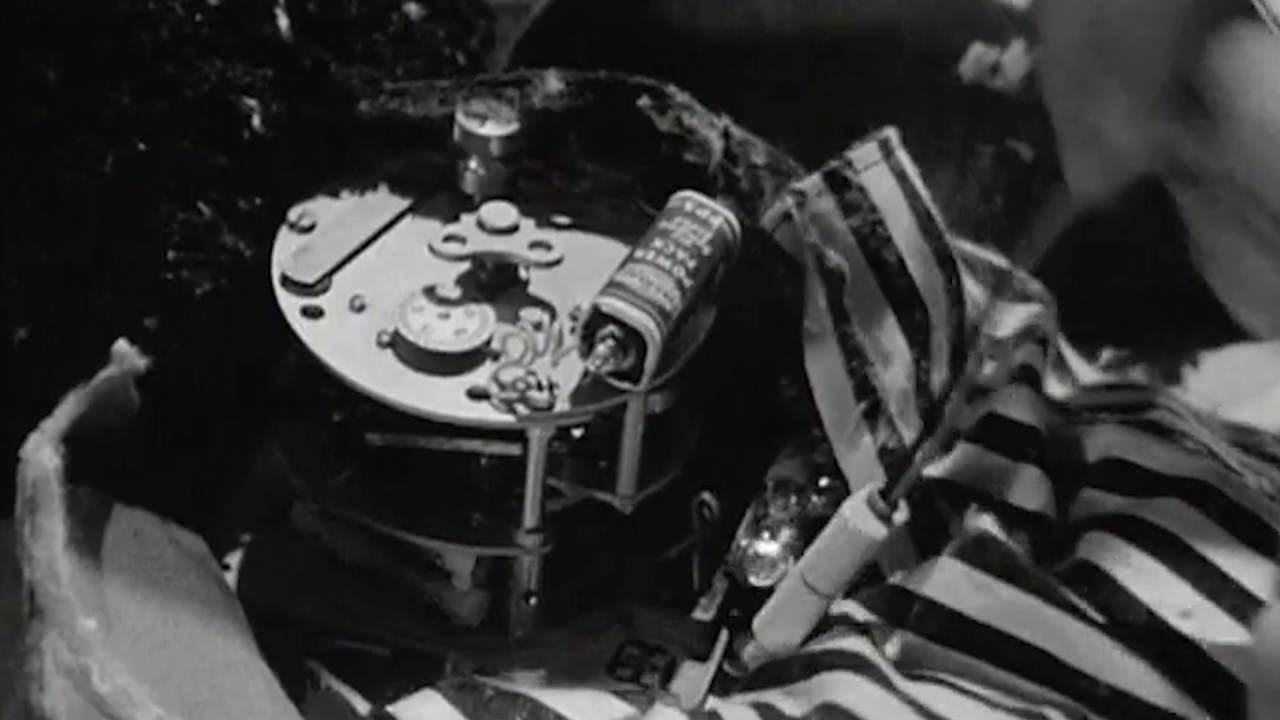 Tomorrow at Ten backdrop