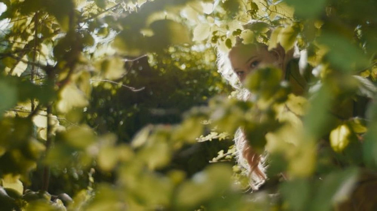 The Magic Faraway Tree backdrop