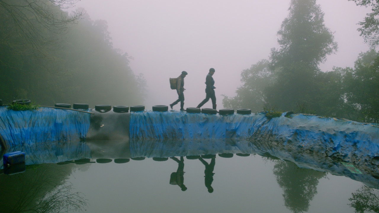 Tayal Forest Club backdrop