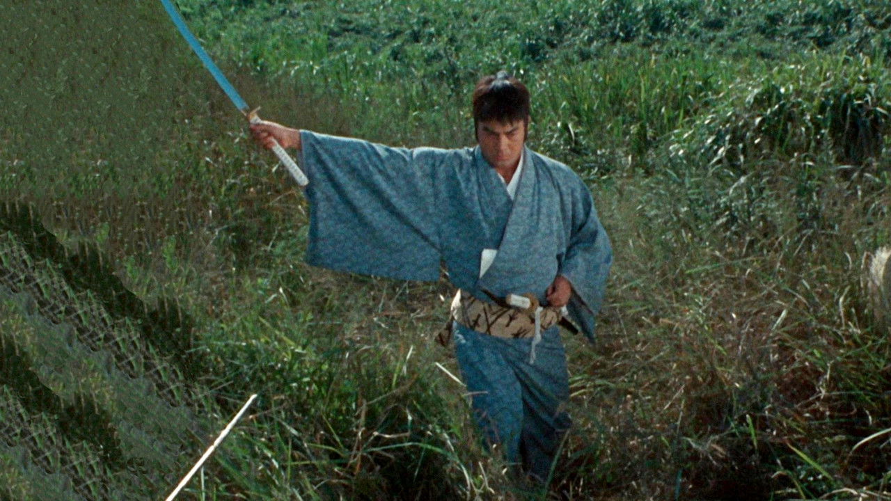 Crescent Scarred Hatamoto backdrop