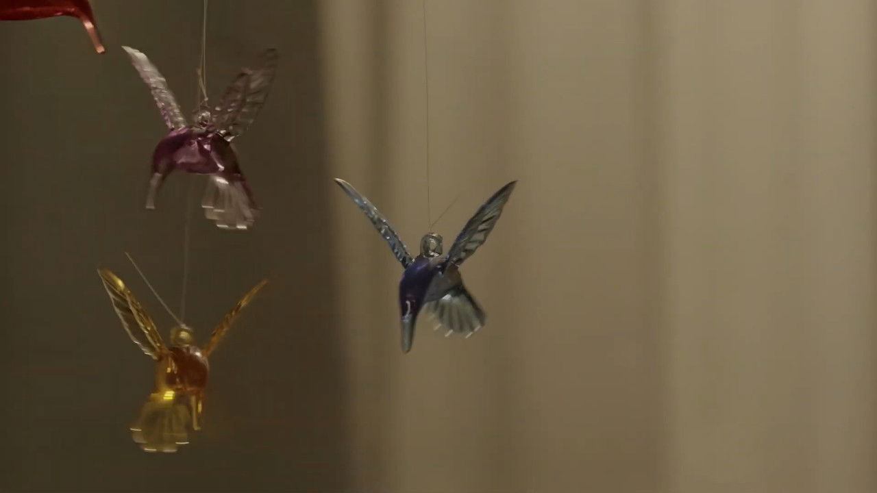 Pollo frito backdrop