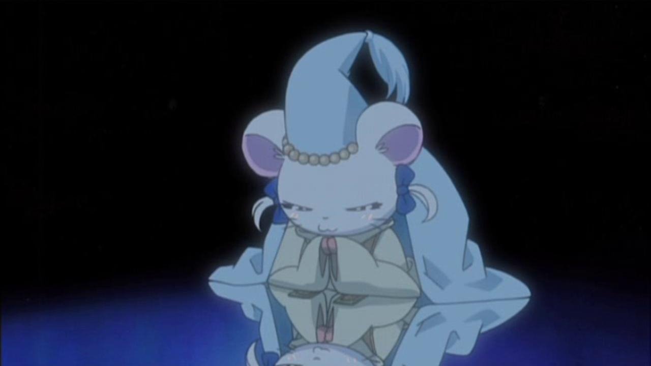 Hamtaro: Miracle in Aurora Valley backdrop