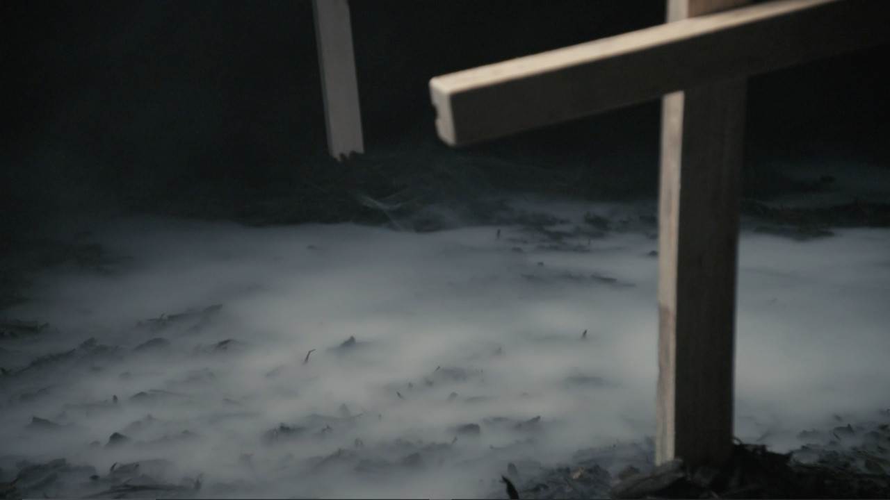 Lavender Rot backdrop