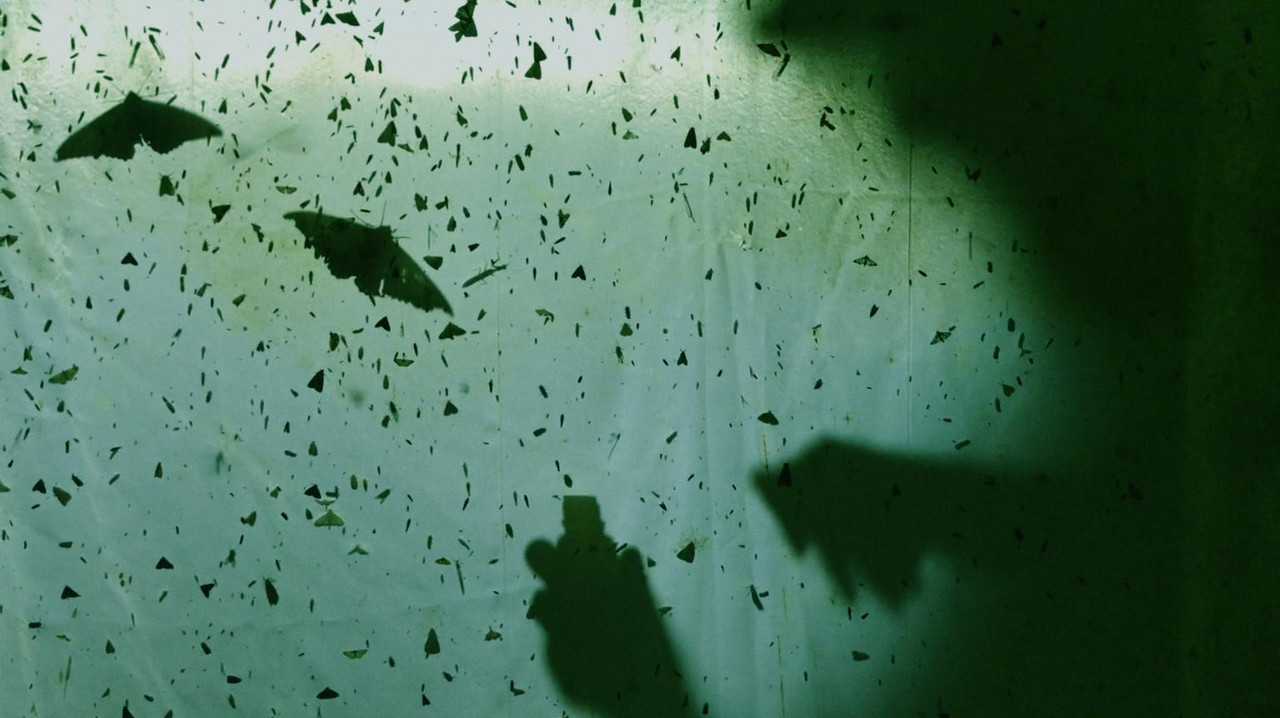 The Last Ones backdrop