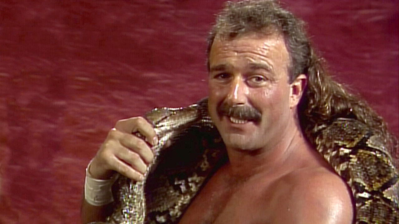 WWE Crunch Classic backdrop