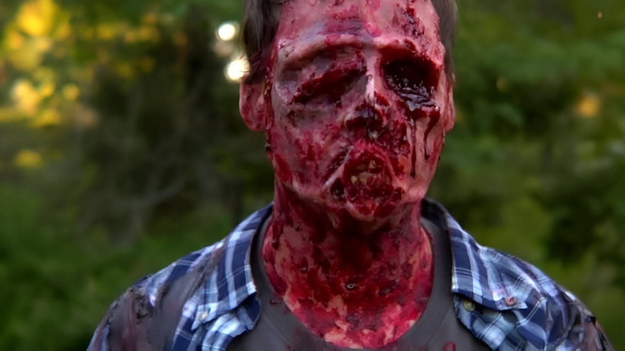 The Sky Has Fallen backdrop