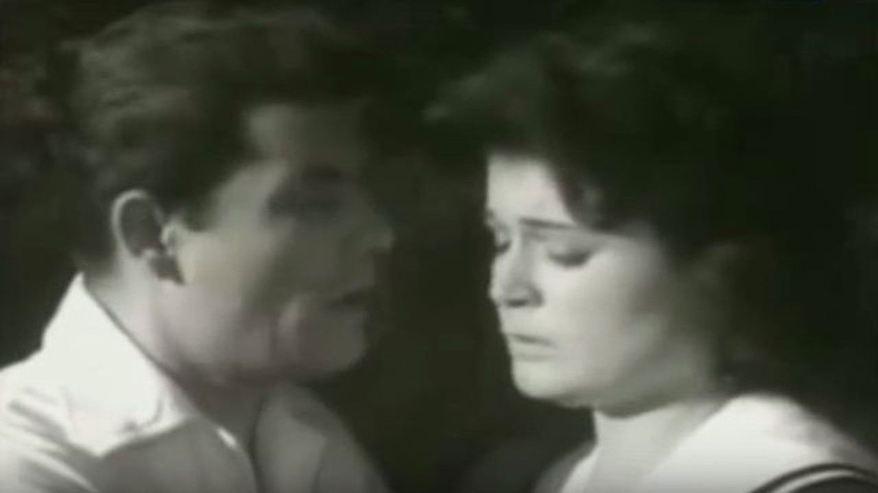 Bufakkar filli nassini backdrop