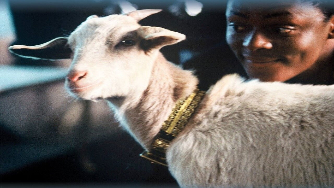 Max and Mona backdrop